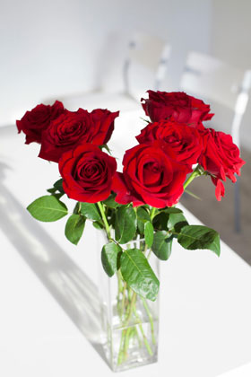 Roses in a Vase